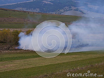 Huge smoke , spreading wildife, negligent people burning the potato stems Stock Photo