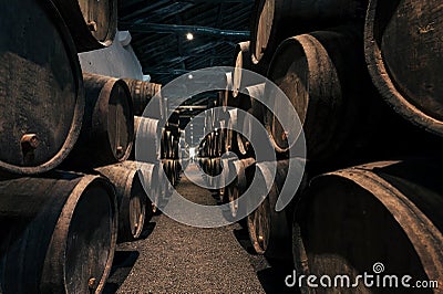 Huge spase with wooden barrels full of port wine inside traditional winery. Dark cellar for winemaking, Portugal Stock Photo