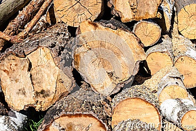 Huge stack of brown firewood made from trees settled at the yard in the village Stock Photo