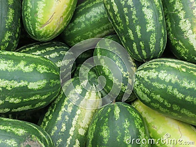 Huge stack of green striped water melons Stock Photo