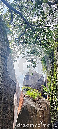 Huge Tall Rock with Moss Stock Photo