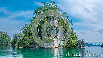 Huge Triangle Rock overgrown with Palmtrees in Hidden Bay on Gam Island near Kabui and Passage. West Papuan, Raja Ampat, Indonesia Stock Photo