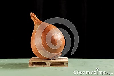 Huge ugly onion lies on a wooden pallet. Dark background, selective focus, copy space Stock Photo