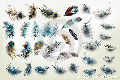 Huge vector collection of realistic fashion feathers for design Stock Photo