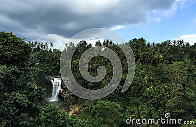 Huge waterfall in tropical forest. Bright exotic nature with fresh water stream. Stock Photo