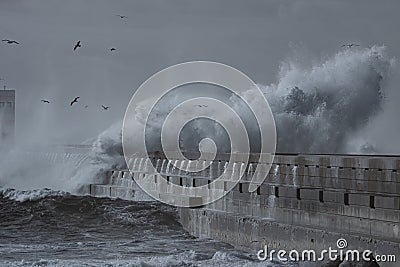 Huge wave splash Stock Photo