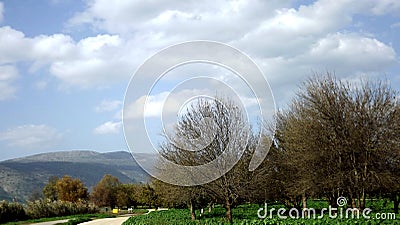 Hula Valley in spring colors. Israel. Stock Photo