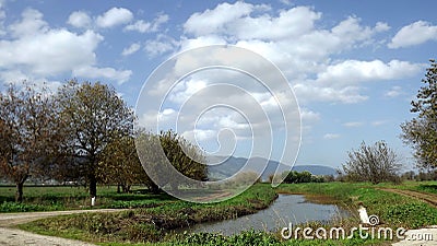 Hula Valley in spring colors. Israel. Stock Photo