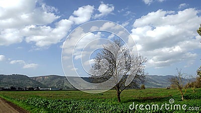 Hula Valley in spring colors. Israel. Stock Photo