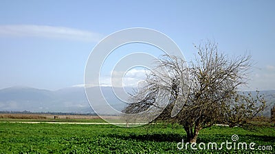 Hula Valley in spring colors. Israel. Stock Photo