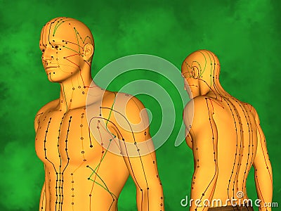 Human Acupuncture Model Stock Photo