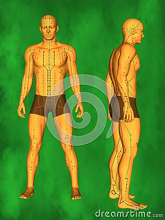 Human Acupuncture Model Stock Photo