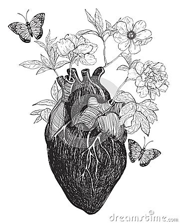 Human anatomical heart whith flowers. Vector Illustration