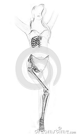 Human anatomy Stock Photo