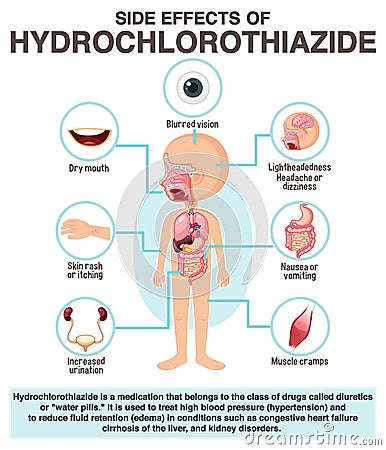 Human anatomy diagram cartoon style of hydrochlorothiazide side effects Vector Illustration