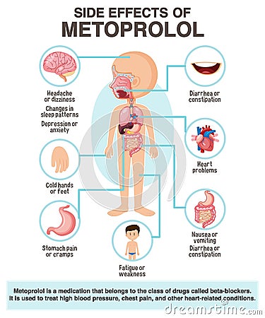 Human anatomy diagram cartoon style of metoprolol side effects Vector Illustration