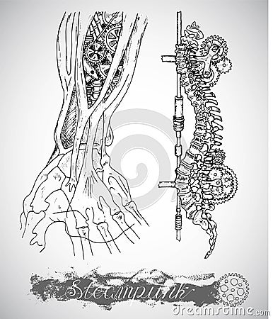 Human anatomy hand and backbone with vintage mechanism in steam punk style Vector Illustration