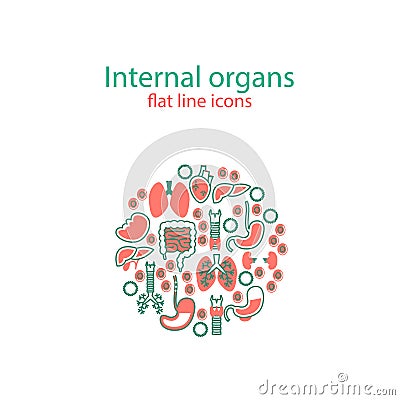 Human anatomy icons. Vector internal organs pictogram set. Vector Illustration