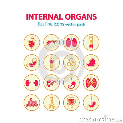 Human anatomy icons. Vector internal organs pictogram set. Vector Illustration