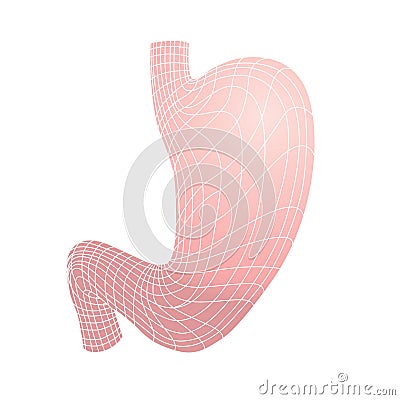 Human anatomy illustration. Stomach icon Vector Illustration