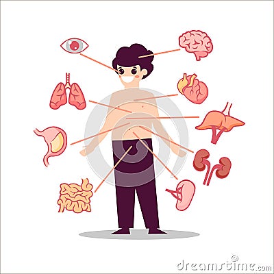 Human anatomy organs illustration Semicircular lungs with heart muscle digestive system small intestine and stomach. Vector Illustration