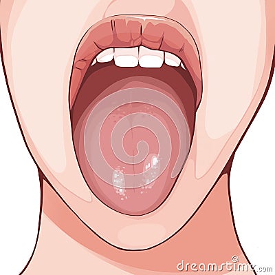 Human anatomy of teeth and tongue Cartoon Illustration