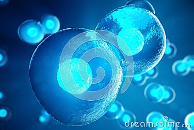 Human or animal cells on blue background. Concept Early stage embryo Medicine scientific concept, Stem cell research and Cartoon Illustration