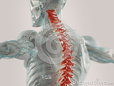 Human back pain Cartoon Illustration