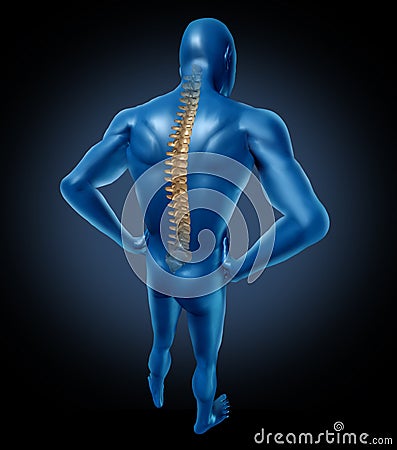 Human back spine posture Stock Photo