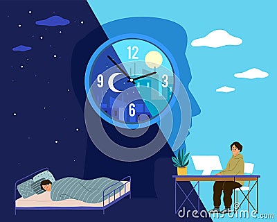 Human biological clock. Time for sleep and work, man in bed at night and working at computer during day, healthy Vector Illustration