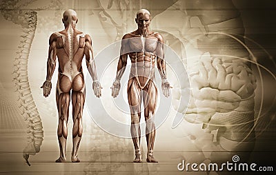 Human body Stock Photo