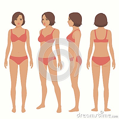 Human body anatomy, front, back, side view Vector Illustration