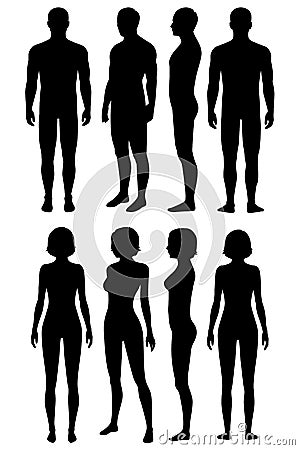 Human body anatomy, body silhouette Vector Illustration