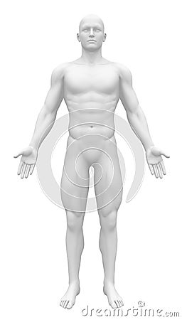 Blank Anatomy Figure - Front view Stock Photo