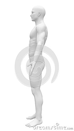 Blank Anatomy Figure - Side view Stock Photo