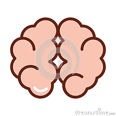 Human body brain cerebral hemisphere anatomy organ health line and fill icon Vector Illustration