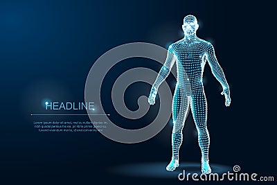 Human Body 3D Polygonal Wireframe Blueprint. Vector Illustration Vector Illustration