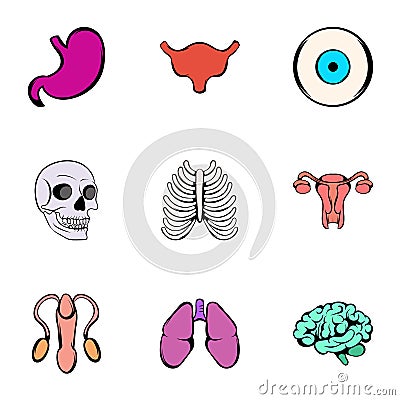 Human body icons set, cartoon style Vector Illustration