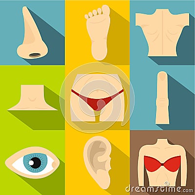 Human body icons set, flat style Vector Illustration