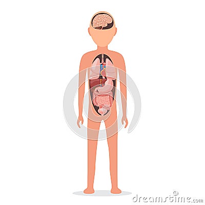 Human body with internal organs Vector Illustration