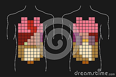 Human body internal organs Vector Illustration