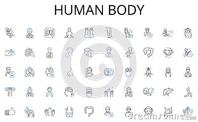 Human body line icons collection. Ambition, Aspiration, Achievement, Determination, Dream, Purpose, Plan vector and Vector Illustration