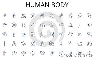 Human body line icons collection. Nerking, Resume, Interview, LinkedIn, Cover letter, Referral, Application vector and Vector Illustration