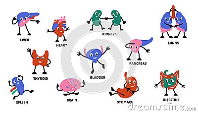 Human body organs characters. Cartoon cute anatomy mascot persons with hands legs and happy faces. Vector kidney stomach Vector Illustration