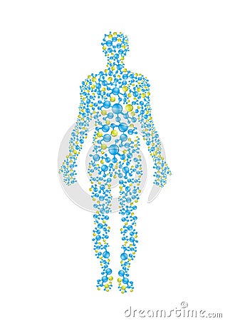 Human body in scientific Vector Illustration