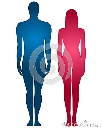 Human body silhouette Vector Illustration