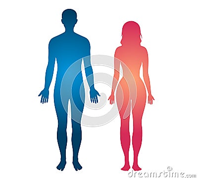 Human body silhouette man and women body vector illustration. Cartoon Illustration