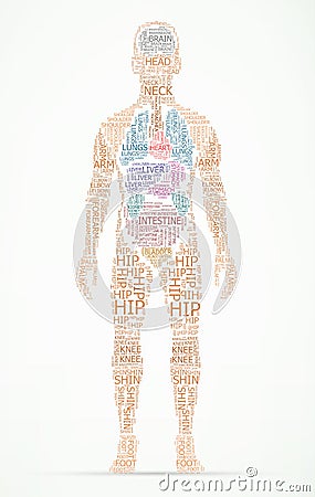 Human body wordcloud Vector Illustration