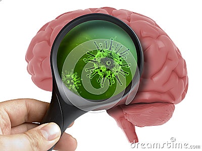 Human Brain Analyzed with magnifying virus bacterial microbe inside isolated Stock Photo