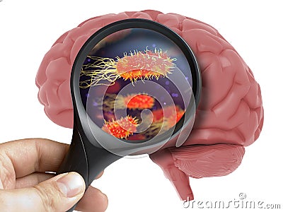 Human Brain Analyzed with magnifying virus bacterial microbe inside isolated Stock Photo